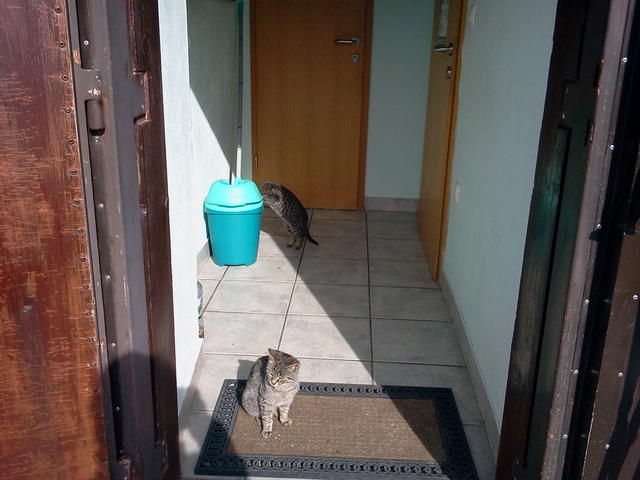 Objavljeno: 18. 02. 2012 12:09:01
