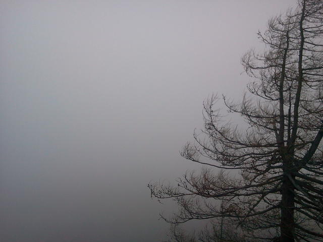 Objavljeno: 18. 03. 2012 11:09:02
