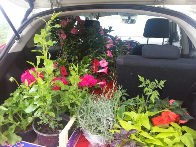 Objavljeno: 25. 04. 2015 20:29:04
